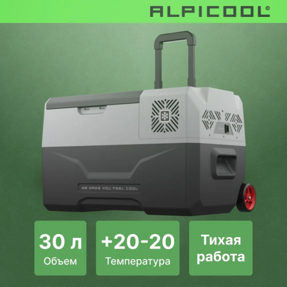 Автохолодильник Alpicool CX30 (12/24)